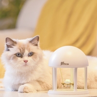 Lampe de chevet LED rechargeable personnalisée de style nordique avec projection de chat mignon USB, cadeau, lampe de nuit pour étude, décoration de la maison