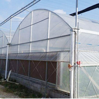 Serre commerciale intelligente à simple portée pour la culture de tomates, serre en polycarbonate
