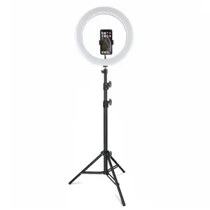 Networkビデオ補助光カメラブラケット10インチ3色モードLEDライトselfieリングライト