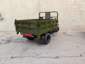 & 300cc Open Passenger 5-Wheel <b>Gasoline</b> for Versatile Transport - Product Image 4