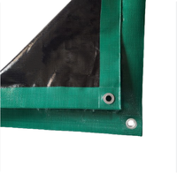 Bâche en PE enduite imperméable et robuste pour tentes extérieures, toiture, couleur vert-argent, taille personnalisable, vente chaude Argentine