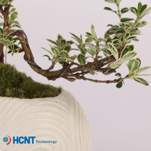 Planta en <span class=keywords><strong>maceta</strong></span> de levitación magnética, <span class=keywords><strong>maceta</strong></span> aérea, planta en <span class=keywords><strong>maceta</strong></span>, sala de estar, oficina, escritorio, decoración creativa, regalo - Product Image 6