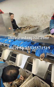 Gia cầm thịt Phễu có trọng lượng phân loại máy/hải sản Rau khay quy mô trọng lượng học sinh lớp dây chuyền sản xuất - Product Image 2