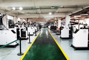 Light Packing System Karton Automatischer kol labor ativer Roboter-Palet tierer - Product Image 4