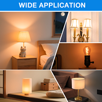 Haute Qualité Edison Dimmable Vintage Smart LED Ampoule 2700K Blanc Chaud Mini Globe E27 G45 Lumière 4W Ac Alimentation SMD Source