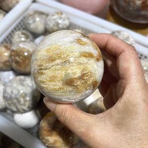 Esfera de Coral Fósil Natural Pulido al por Mayor, Piedra de Cristal Curativa para Decoración del Hogar y Regalos - Product Image 5
