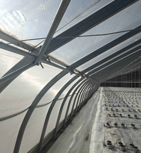 Invernadero Solar Pequeño con Aislamiento Térmico, Estructura <span class=keywords><strong>de</strong></span> Invernadero <span class=keywords><strong>de</strong></span> Energía Pasiva, Material PE, Invernadero Solar Pasivo - Product Image 3