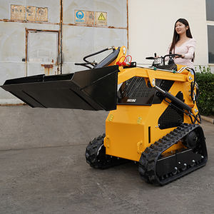 شحن مجاني جرافة ذات عجلات وجرار خلفي ديزل جرافة ذات مسار أمامي صغيرة/صانع من Ski - Product Image 4