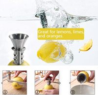 Presse-agrumes en acier inoxydable professionnel manuel pour citron, orange, lime, agrumes, outil pour fruits