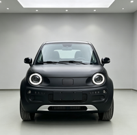 Voiture électrique, voiture à énergie verte, véhicule électrique écologique, crossover électrique, fourgonnette électrique, camion électrique, break électrique, voiture électrique sportive