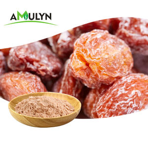 Poudre de prune <span class=keywords><strong>Hua</strong></span> <span class=keywords><strong>Mei</strong></span>, poudre de fruit Li Hing Mui - Product Image 1