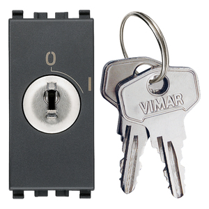 Interruttore a Chiave Vimar 2P 16(3)A Grigio per Montaggio a Parete - Product Image 1
