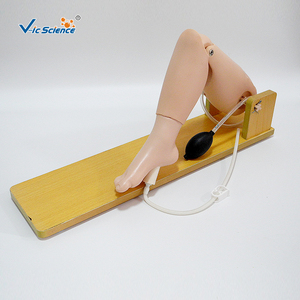 Modelo Anatómico de Punción Venosa Femoral y de Médula Ósea <span class=keywords><strong>Infantil</strong></span> para Escuelas de Formación en Ciencias Médicas, Material de PVC Ecológico - Product Image 5