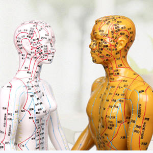 Modèle d'acupuncture chinoise masculin/féminin, modèle de points de pression et de méridiens, mannequin d'acupuncture pour l'enseignement de la médecine chinoise - Product Image 3