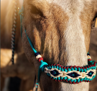 Ensemble de licol et de longe pour cheval, fabriqué par Horse Lead Equip, avec protège-museau, crochet, corde en paracorde tressée à la main, licol en nylon pour l'équitation
