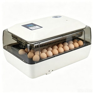 Incubateur automatique pour œufs de poulet, canard, <span class=keywords><strong>faisan</strong></span>, caille, perroquet, volaille de taille moyenne, taux d'éclosion de 90 %, à vendre - Product Image 1