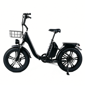 Vélo électrique de ville pour femmes de 20 pouces avec <span class=keywords><strong>prix</strong></span> d'usine, vélo électrique <span class=keywords><strong>750</strong></span> watts 48V, vélo hybride électrique pour femmes - Product Image 1