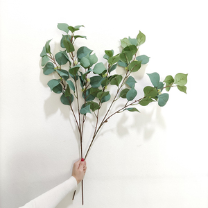 ก้านยูคาลิปตัสเทียมสีเขียวต้นยูคาลิปตัสเกรดต้นเงินดอลล่าร์สำหรับตกแต่งงานแต่งงาน - Product Image 5