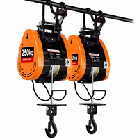 Mini palan électrique à charge lourde 250 kg, levage 30 m, télécommande sans fil, treuil de levage compact pour usage domestique, travaux de construction et de vente au détail