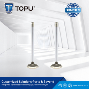 سيارة معدلة حسب الطلب لسيارة GM CAVALIER ، Z24 2.4 لتر DOHC 16V صمام عادم - Product Image 3