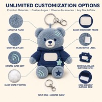 Porte-clés en peluche personnalisé OEM ODM Signal Star Bear, service de conception de personnage original, mascotte en peluche, cadeau promotionnel avec technologie IA