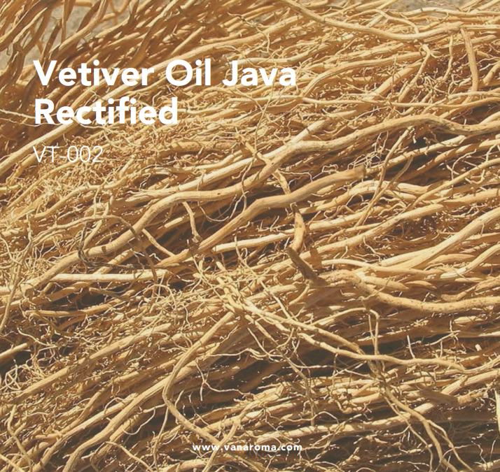 สีน้ำตาลแดงถึงน้ำตาลเข้ม