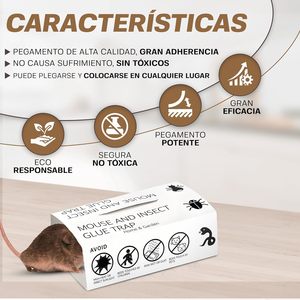 Trampas de Pegamento para <span class=keywords><strong>Ratones</strong></span> e Insectos, Tablas Adhesivas Pre-Encurtidas para Chinches, Cucarachas y Moscas |   Control de Plagas en Interiores No Tóxico - Product Image 5
