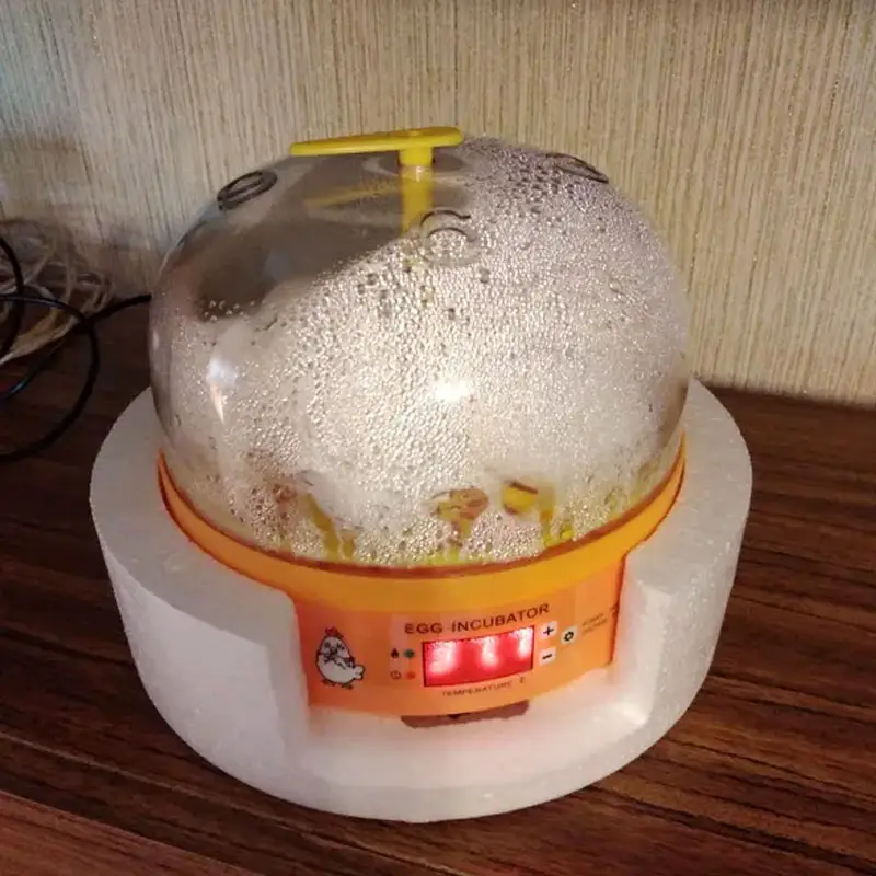 Máquina automática de incubación de temperatura constante Precio al por mayor 36 huevos incubadoras de pollos mini incubadoras
