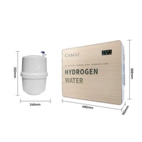 Machine à eau pure riche en hydrogène, alimentée par batterie électrique, en plastique, avec technologie d'osmose inverse alcaline H2 pour usage domestique et en camping-car