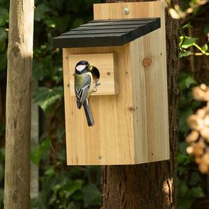 CAJA NIDADORA DE MADERA para tetas <span class=keywords><strong>grandes</strong></span> (32MM) o 28MM - Product Image 5