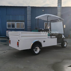 Carrito de Golf Eléctrico de 2 Plazas con Caja de Carga, Vehículo Utilitario con Batería de Litio de 48V, Buggy para Granja, Resort o Parque, Venta Caliente 2026 - Product Image 4