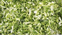 Línea de Procesamiento de Ensaladas, Máquina para Cortar, Lavar, Limpiar, Rebanar y Deshidratar Verduras, Frutas, Lechuga y Repollo