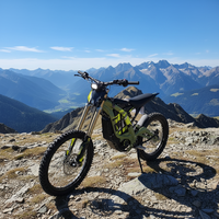 Surron Light Bee 2026, Surron haute puissance 10000W 72V 35Ah, Light Bee X, moto tout-terrain électrique pour adultes