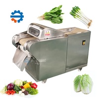 DY Multifunctionele Groente- en Fruit Snijmachine SUS304 RVS Commerciële 400-1000KG/H Groenteverwerkingsinstallatie