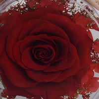 Rose Éternelle Préservée en Acrylique, Ornement de Bouteille de Parfum, Décoration Intérieure Élégante, Coffret Cadeau, Roses Éternelles pour Noël et la Saint-Valentin