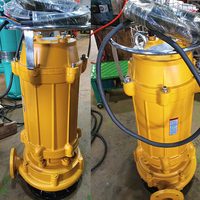 Pompe à eaux usées submersible en fonte de drainage agricole non colmatante 30HP 3 phases électrique