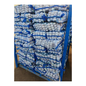 Compre ajo de paquete pequeño de Tianqin, venta al por mayor, ajo normal, ajo blanco puro, al mercado de exportación Dubái - Product Image 4