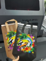 Imprimante UV monopasse pour sacs en plastique, sacs non tissés, sacs en papier – Machine d'impression de sacs