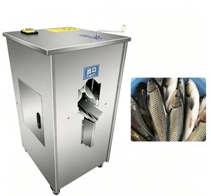 Máquina automática para desescamar y limpiar intestinos de tilapia / Máquina para desescamar y limpiar carpas <span class=keywords><strong>crucianas</strong></span> / Máquina para eviscerar y matar atunes y corvina amarilla - Product Image 5