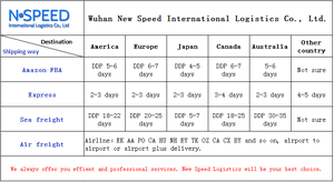 NUOVO SPEED Spedizioniere di Shenzhen che Offre Servizio di Spedizione LCL+Express Porta a Porta dalla Cina a USA, Singapore, Malesia, Thailandia - Product Image 3