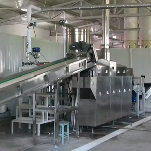 خط معالجة تلقائي مكعبات الفاكهة المجمدة - Product Image 1