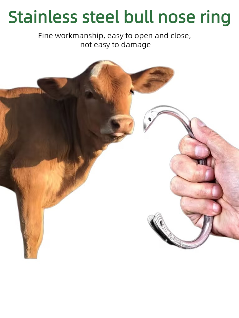 Highland Cattle Bull Cow Nose Ring Stainless Steel Bull Nose Ring