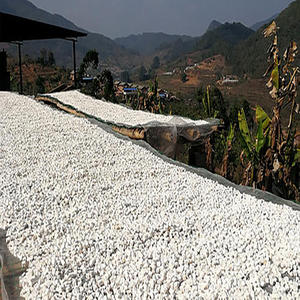 Fu Ling teh Herbal China bentuk persegi, teh kesehatan kering mentah kualitas tinggi harga grosir - Product Image 6