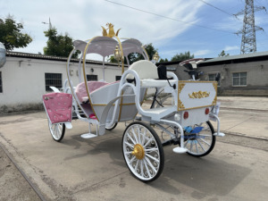 Charrette de Mariage Électrique Personnalisable Style Citrouille Princesse Cendrillon pour 4-6 Personnes – Transport Spécial Mariage - Product Image 5