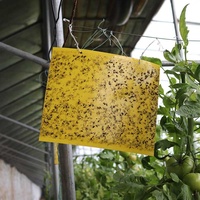 Piège à insectes volants double face jaune blanc Abeille collante Tueur de mouches des fruits Verger Lutte antiparasitaire jetable Usage domestique