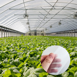 יריעת פלסטיק כפולה בעובי 150-200 מיקרון לחממות גדולות, לגינה ולחקלאות, לחממות מיני. - Product Image 1