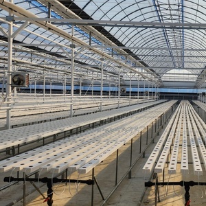 אנכי <span class=keywords><strong>Aquaponic</strong></span> הידרופוניקה מערכת עבור חסה בחממות חקלאיות - Product Image 2