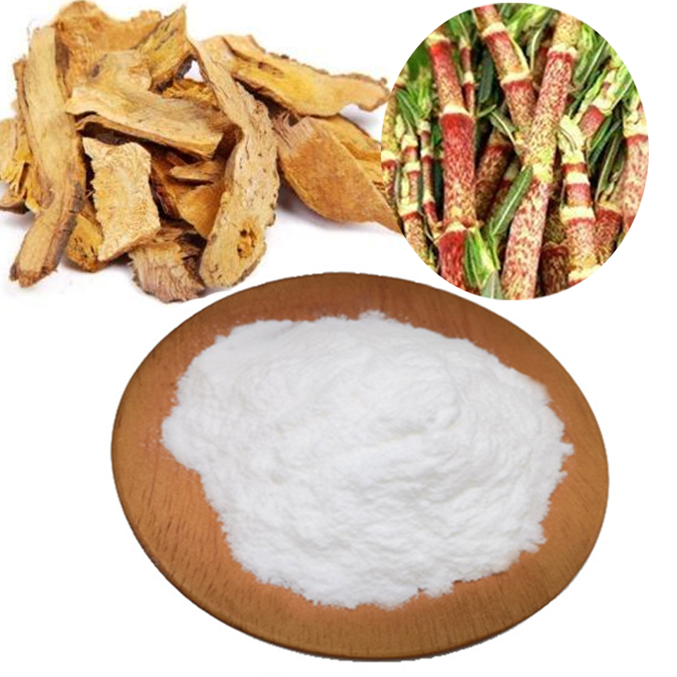 polygonum cuspidatum extract resveratrol