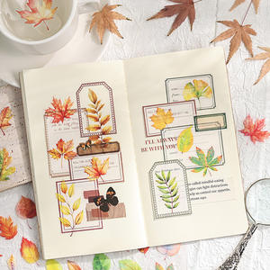 6 pegatinas por paquete Flower Room No.7 Series Plant Material Sticker Pack de 6 - Product Image 4