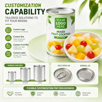 Tropische Fruitcocktail Gebakken 850g Druif Kers Ananas HACCP OEM ODM Bulk Export Private Label Groothandel Leverancier